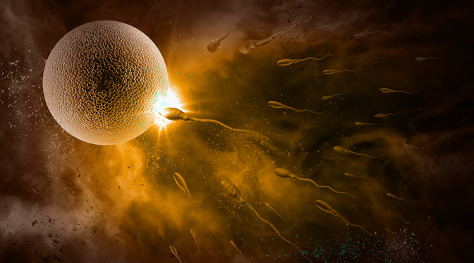 Life Begins At Fertilization